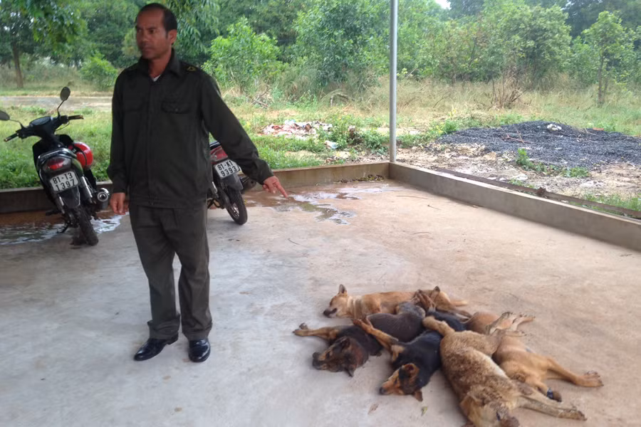 Công an xã đã đưa tang vật về trụ sở. Ảnh: M.N