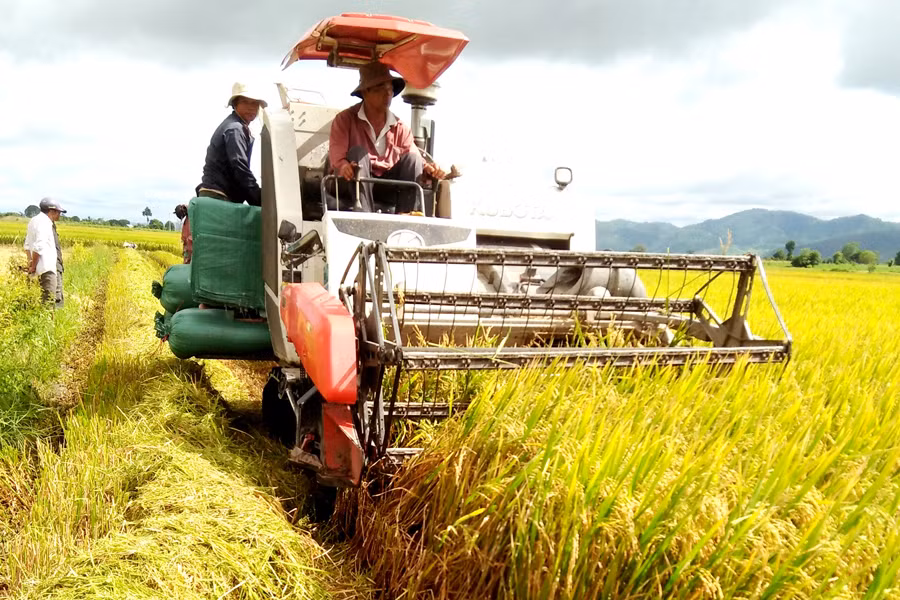 Đưa cơ giới vào khâu thu hoạch. Ảnh: Q.T Đưa cơ giới vào khâu thu hoạch đang được nông dân chú trọng. Ảnh: Q.T