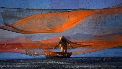 Bức ảnh "Rớ sớm" của Lê Minh Quốc. Bức ảnh