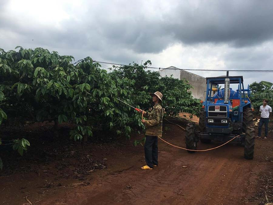 Nhiều chủ vườn phải tăng tiền công mới thuê và giữ được chân nhân công. Ảnh. Đ.Y Nhiều chủ vườn phải tăng tiền công mới thuê và giữ được chân nhân công. Ảnh. Đ.Y