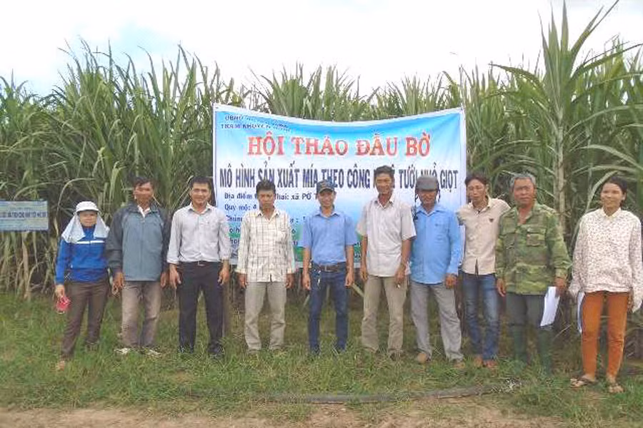 Ảnh: Đ.Y Ảnh: Đ.Y