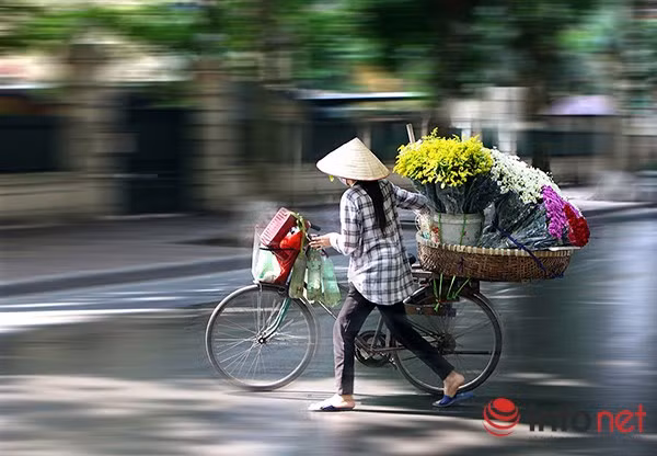 Những xe hoa cúc hoạ mi khiến đường phố Hà Nội dịu dàng hơn dưới ánh nắng cuối Thu.