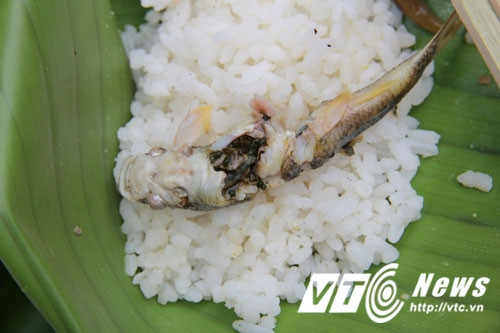 Không có gì tuyệt vời hơn khi thưởng thức món cá đắng giữa rừng già. Không có gì tuyệt vời hơn khi thưởng thức món cá đắng giữa rừng già.