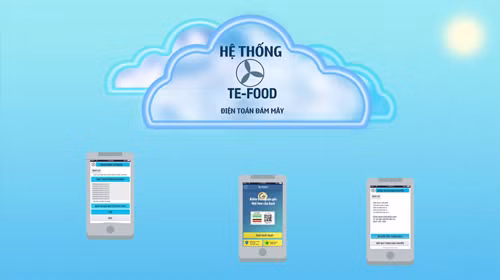 Hệ thống quản lý truy xuất nguồn gốc thịt heo TE-FOOD