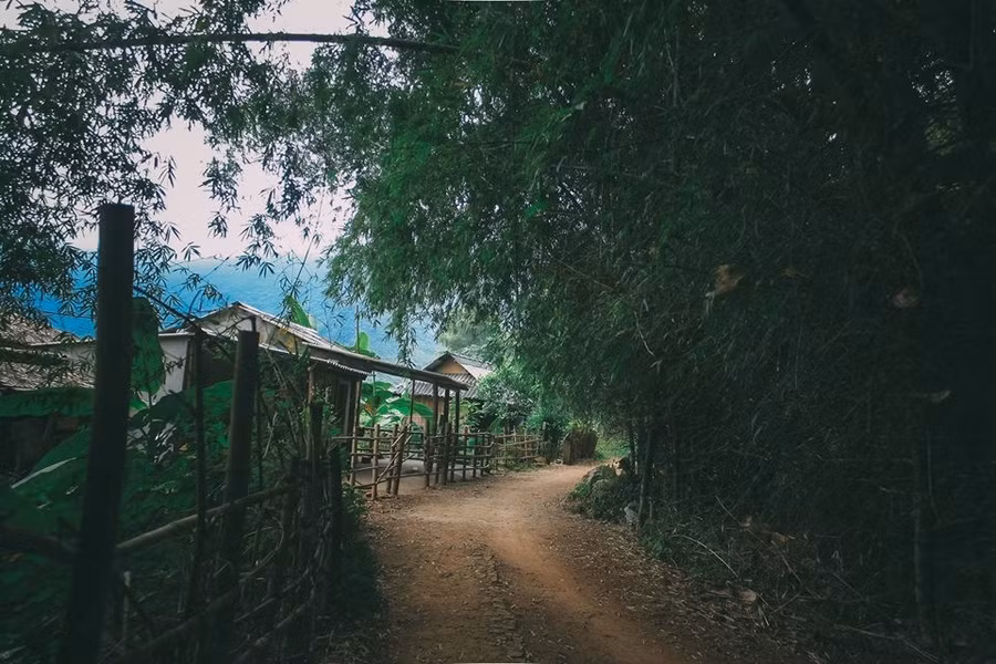 Ngày 25-11, đoàn chúng tôi lên đến bản Vặt, xã Mường Sang, huyện Mộc Châu, tỉnh Sơn La.