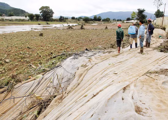 Hơn 3.000m² nhà lồng cùng toàn bộ số rau chuẩn bị cho thu hoạch của gia đình anh Đinh Văn Lễ (thôn Nam Hiệp 1, xã Ka Đô) bị nước lũ quét sạch.