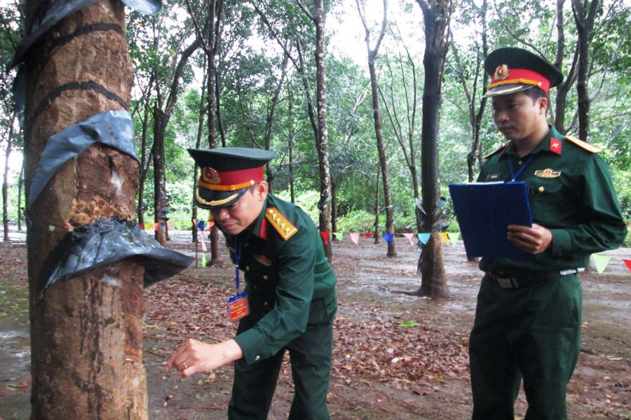 Chấm điểm kỹ thuật tại hội thi. . Ảnh: Nguyễn Dung
