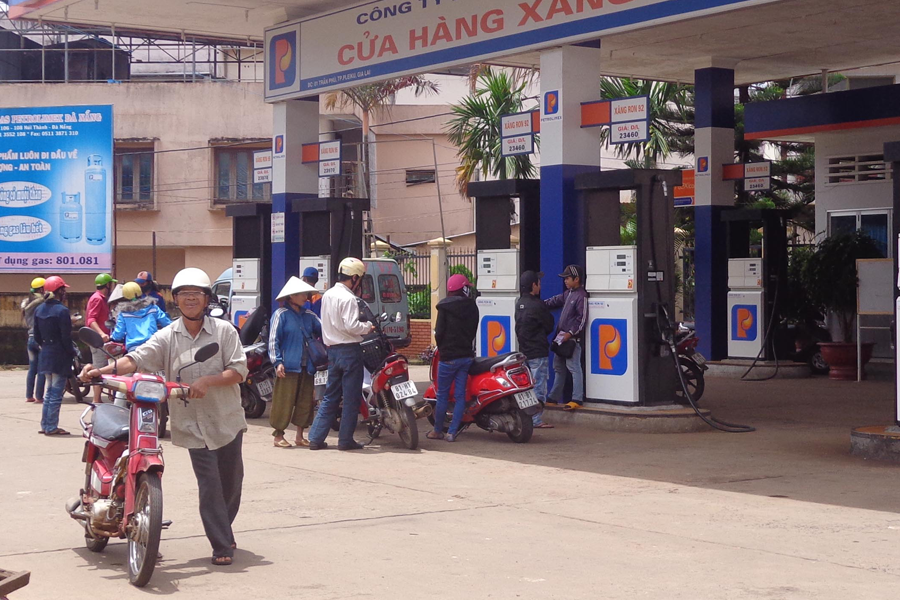 Ảnh: H.P Ảnh: H.P
