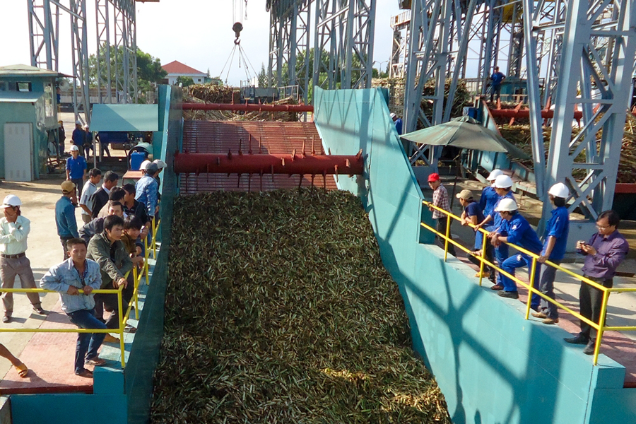 Việc nâng công suất của Nhà máy sẽ giúp mía trên ruộng được thu hoạch nhanh hơn. Ảnh: H.T