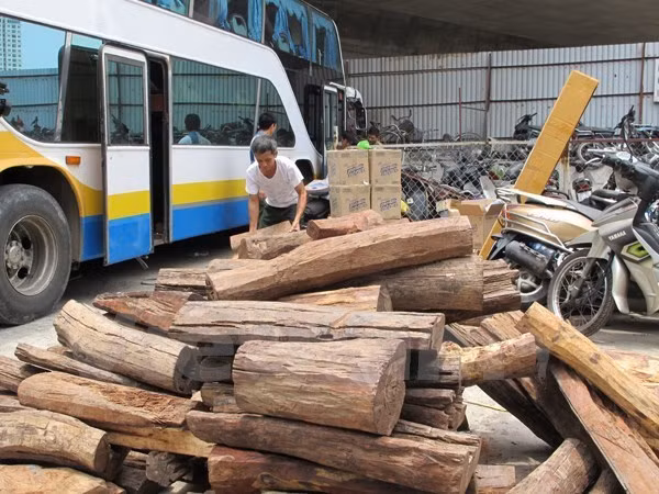  Tang vật một vụ buôn gỗ lậu.