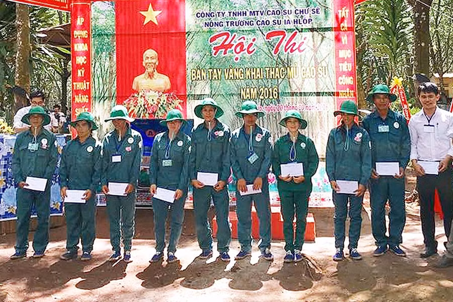  Hội thi Bàn tay vàng khai thác mủ cao su năm 2016 tại Công ty TNHH một thành viên Cao su Chư Sê. Ảnh: T.N