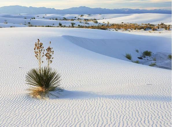 Nếu là người ưa trải nghiệm, thích khám phá thì bạn nên tự thưởng cho tuổi trẻ của mình một chuyến phượt trên cung đường ven biển đẹp nhất Việt Nam này và chắc chắn bạn sẽ không phải thất vọng với chuyến đi tới Bàu Trắng - Phan Rí Cửa.