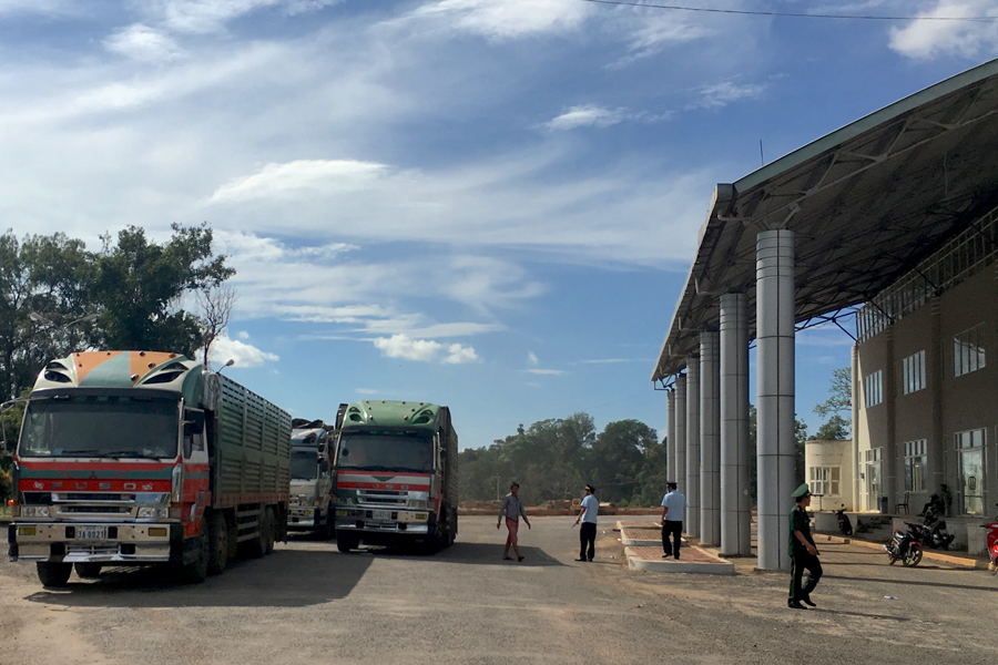 Hàng hóa của doanh nghiệp đang làm thủ tục tại Cửa khẩu Quốc tế Lệ Thanh. Ảnh: H.D