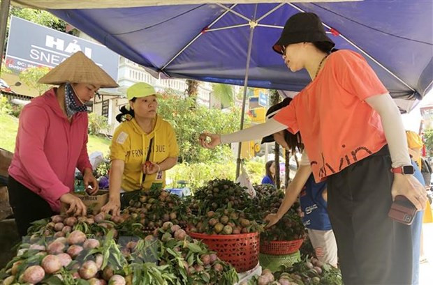 Du khách chọn mua mận Tam hoa tại chợ Trung tâm thị trấn Bắc Hà. (Ảnh: Quốc Khánh/TTXVN)