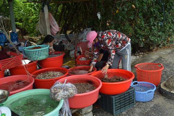  Đến Lăng Cô, du khách tha hồ lựa chọn các loài hải sản mình thích