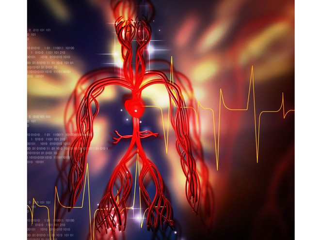 Vitamin K đóng vai trò quan trọng trong quá trình đông máu, cần cho sức khỏe của xương, điều hòa sự phát triển của tế bào và ngăn ngừa vôi hóa động mạch, từ đó ngăn ngừa bệnh tim Ảnh: SHUTTERSTOCK