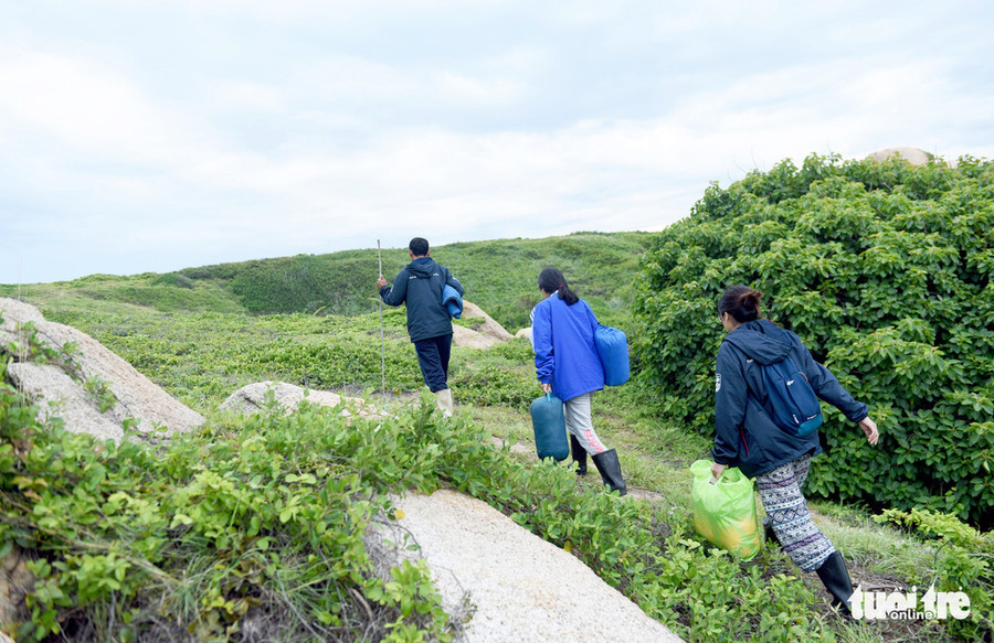  Những thảm cỏ trên đỉnh đồi giúp du khách có thể thả hồn vào thiên nhiên - Ảnh: DUYÊN PHAN
