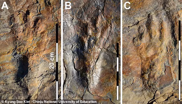 Cận cảnh những dấu chân kỳ lạ - ảnh: Đại học Quốc gia Chinju