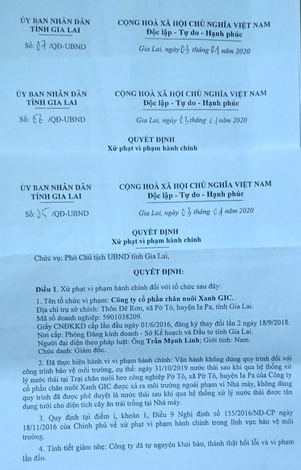 Các quyết định xử phạt 3 công ty chăn nuôi heo tại xã Pờ Tó, huyện Ia Pa. Ảnh: H.M