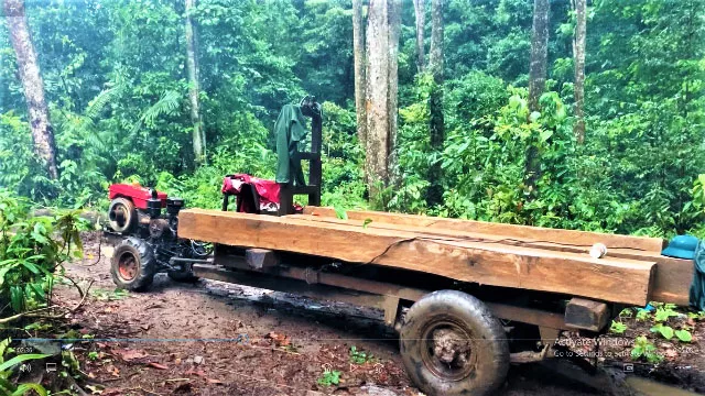 Nhiều xe gỗ các đối tượng chưa kịp chở ra khỏi rừng đã bị lực lượng công an phát hiện, bắt giữ.