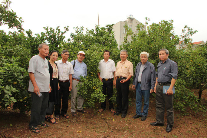 Du khách đến thăm nhà vườn ở Lục Ngạn