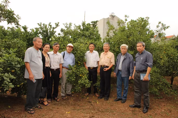 Du khách đến thăm nhà vườn ở Lục Ngạn