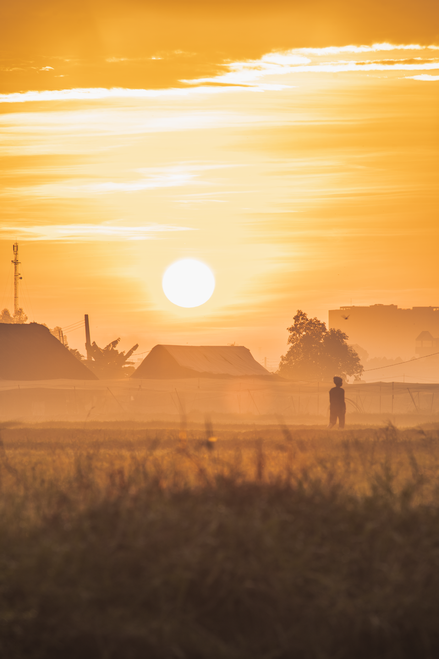 Mặt trời nhuộm vàng cảnh vật - Ảnh: Võ Hùng Mạnh