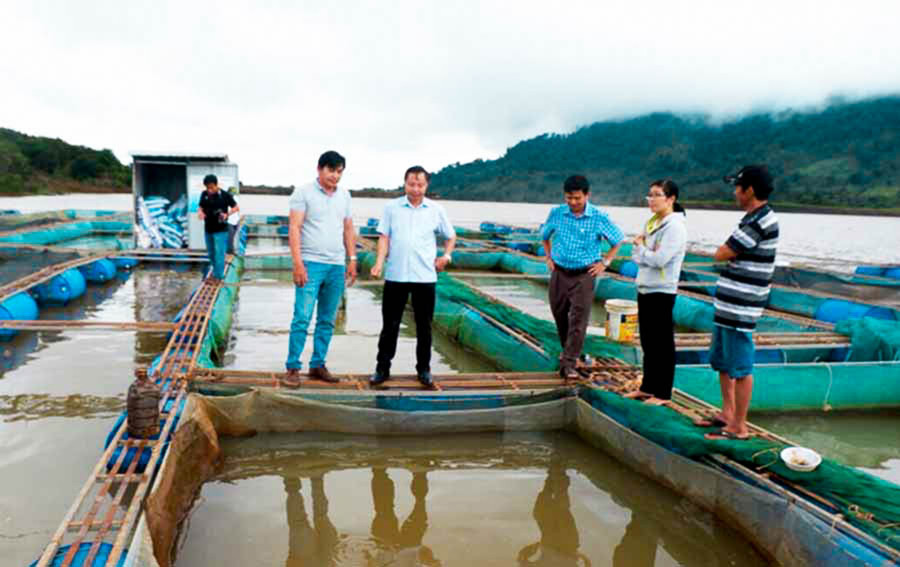 Hợp tác xã Nuôi trồng thủy sản Ia Grăng (huyện Ia Grai, Gia Lai). Ảnh: Trần Dung Hợp tác xã Nuôi trồng thủy sản Ia Grăng huyện Ia Grai. Ảnh: Trần Dung