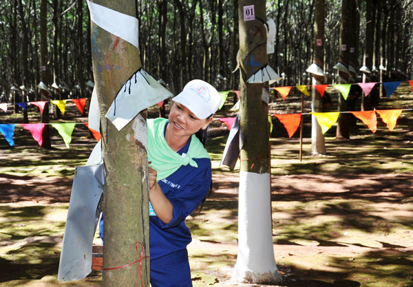  Chị Rơ Lan H’Blơn (công nhân Đội 9, Công ty 74) tham gia hội thi thợ giỏi khai thác mủ cao su. Ảnh: N.A.S