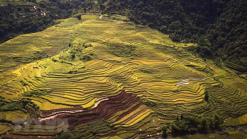 Vẻ đẹp của ruộng bậc thang tại xã Thạch Yên, huyện Cao Phong. (Ảnh: Trọng Đạt/TTXVN)