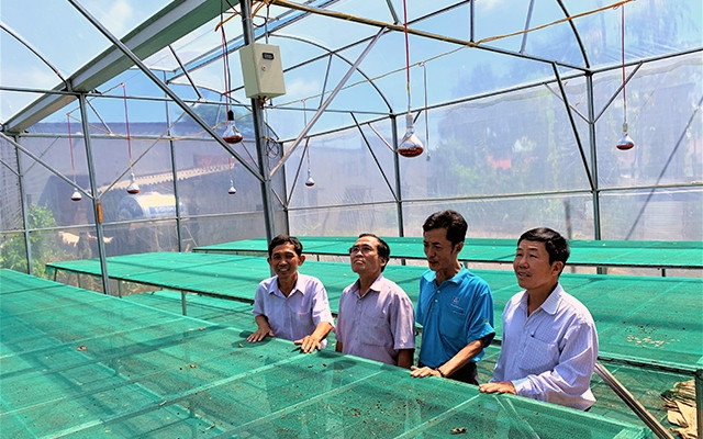 Hệ thống nhà màn phơi sấy để sản xuất cà-phê chất lượng cao honey do các doanh nghiệp hỗ trợ HTX Nông nghiệp và Dịch vụ Quyết Tiến.