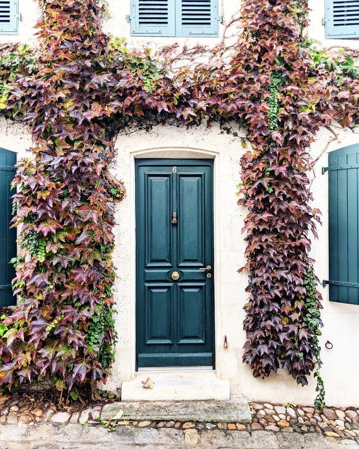 Phần cửa tương phản với màu tường, điểm xuyết màu xanh cây lá tạo vẻ sang trọng mà vẫn giản dị.