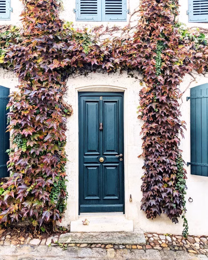 Phần cửa tương phản với màu tường, điểm xuyết màu xanh cây lá tạo vẻ sang trọng mà vẫn giản dị.