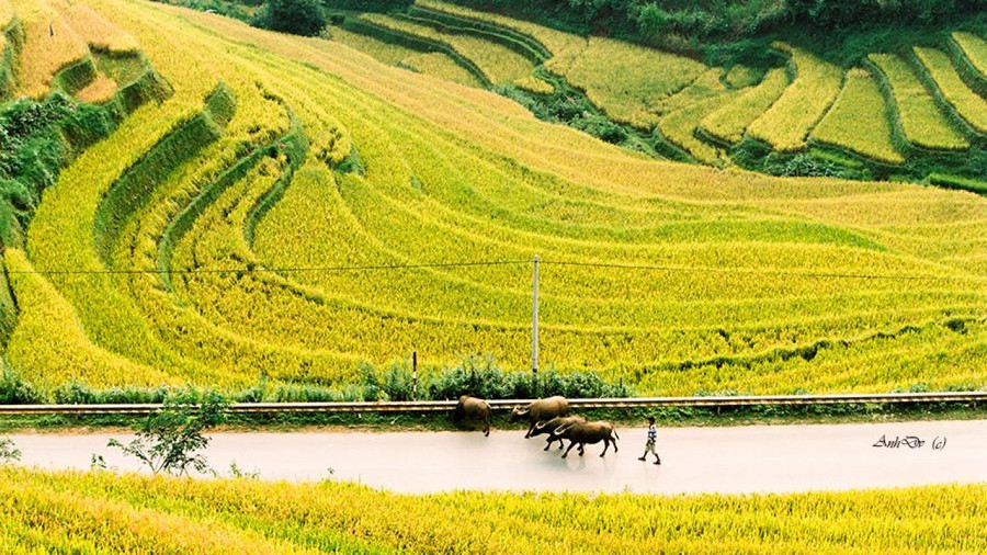 Ảnh minh họa: Internet