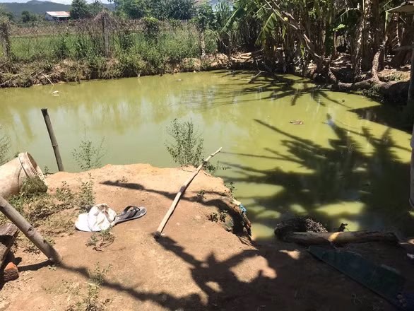  Ao cá nơi hai cha con bị điện giật tử vong - Ảnh: Người dân cung cấp