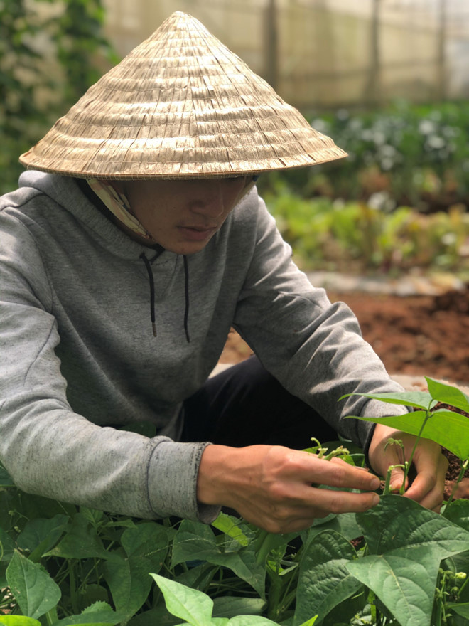 Trồng rau hữu cơ nên công chăm sóc là vô cùng khó khăn Ảnh: XUÂN TRƯỜNG