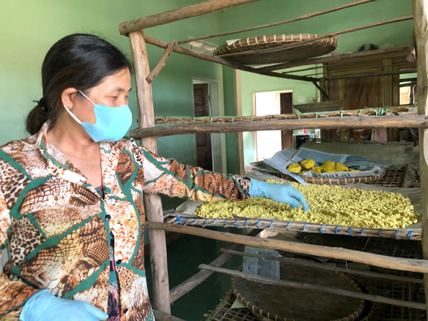 Người dân xã Song An (thị xã An Khê) phơi tinh bột nghệ trong nhà để tránh ánh nắng mặt trời và bụi bẩn. Ảnh: N.M Người dân xã Song An (thị xã An Khê) phơi tinh bột nghệ trong nhà để tránh ánh nắng mặt trời và bụi bẩn. Ảnh: N.M