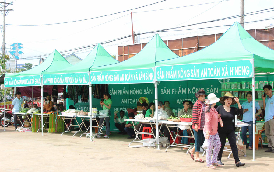  Ảnh: Nguyễn Diệp