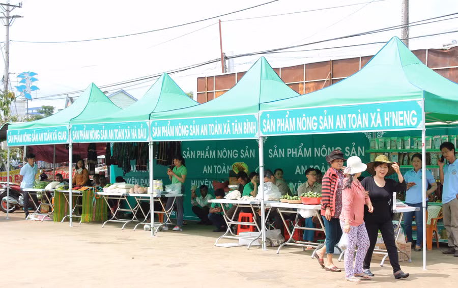  Ảnh: Nguyễn Diệp