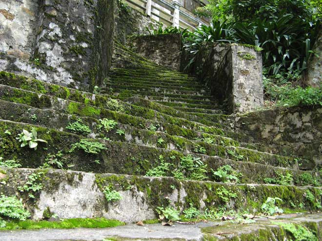 Những bậc thềm rêu phong nhà cũ.