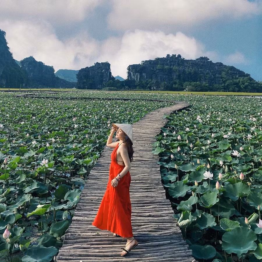 Kể từ khi xuất hiện, hồ sen dưới Hang Múa đã được mệnh danh là hồ sen đẹp nhất Việt Nam