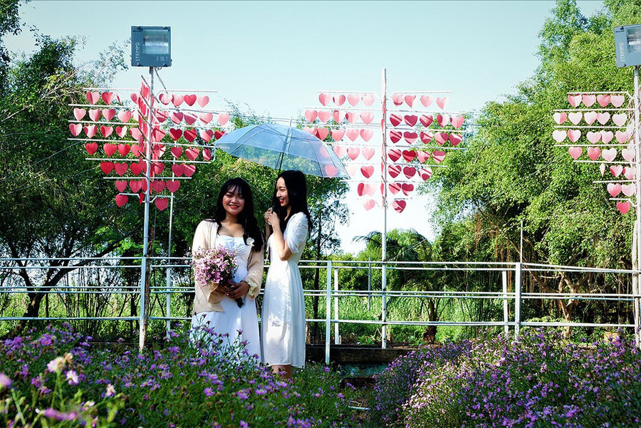 Thạch thảo được trồng theo hàng với nhiều điểm nhấn như tổ chim lơ lửng, túp lều lý tưởng, cầu tình yêu, xích đu thiên đường... thỏa sức tạo bối cảnh cho khách tạo dáng