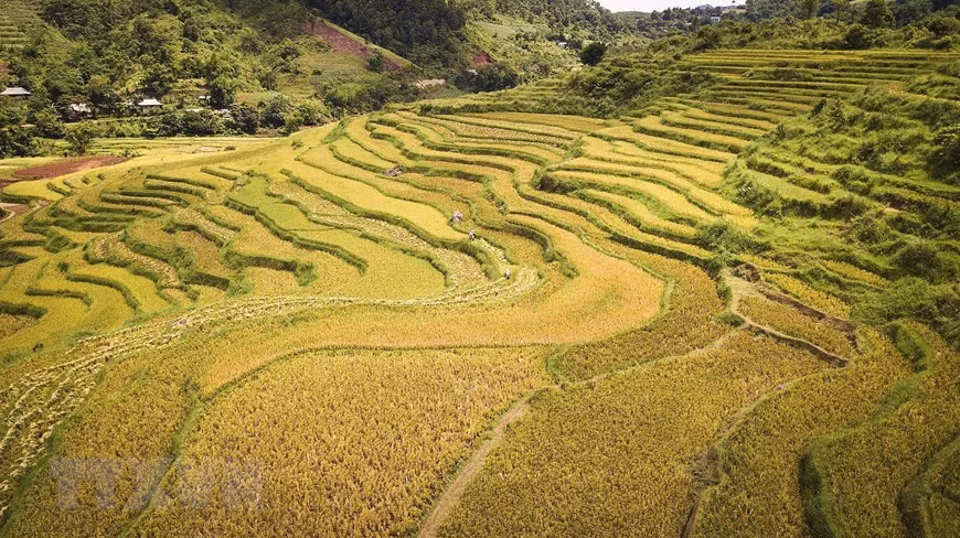 Vẻ đẹp của ruộng bậc thang tại xã Thạch Yên, huyện Cao Phong hứa hẹn sẽ là một tiềm lực lớn để cho xã Yên Thượng đặt mục tiêu thúc đẩy phát triển du lịch tại địa phương mạnh mẽ. (Ảnh: Trọng Đạt/TTXVN)