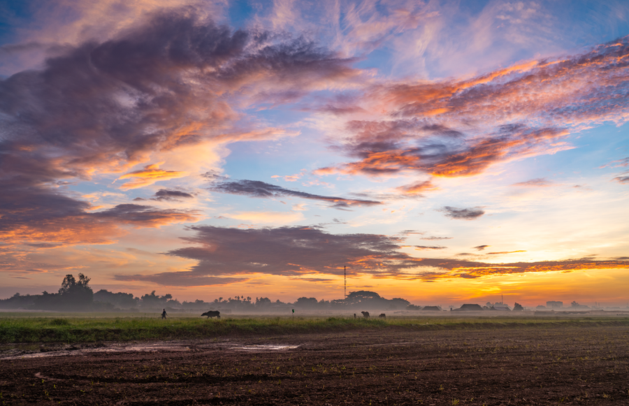 Hóc Môn trong buổi bình minh qua ống kính của Mạnh