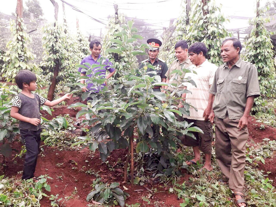 Nhiều hộ dân tại các làng trọng điểm đã thay đổi nếp nghĩ, tập trung phát triển kinh tế. Ảnh: T.D Nhiều hộ dân tại các làng trọng điểm đã thay đổi nếp nghĩ, tập trung phát triển kinh tế. Ảnh: T.D