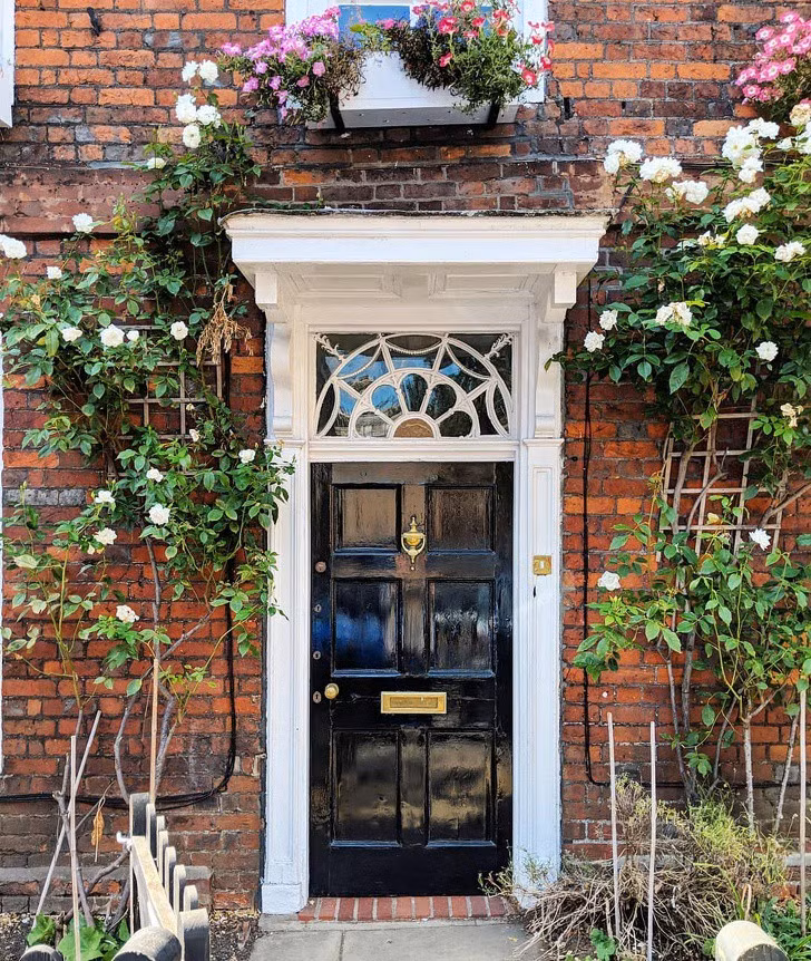 Việc chăm sóc cây cối trước cửa nhà cũng giúp bạn có thời gian thư giãn, thả mình vào thiên nhiên, quên đi cuộc sống bận rộn bình thường.