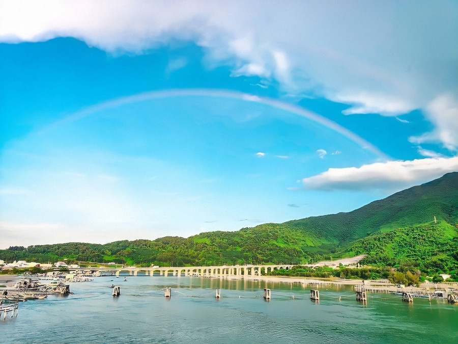 Mảng bè tre nứa hình tròn bên nhánh cây đơn độc khắc họa vẻ bình yên của làng chài nhỏ. Mảng bè tre nứa hình tròn bên nhánh cây đơn độc khắc họa vẻ bình yên của làng chài nhỏ.