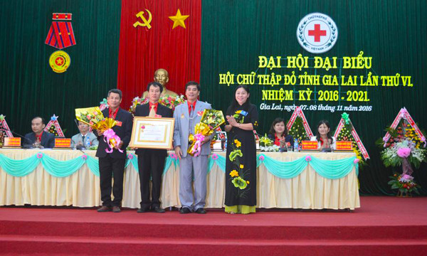 Đồng chí Huỳnh Nữ Thu Hà-Ủy viên Ban Thường vụ Tỉnh ủy, Phó Chủ tịch UBND tỉnh thừa ủy nhiệm của Chủ tịch nước trao Huân chương Lao động hạng nhì cho Hội CTĐ tỉnh. Ảnh: D.Đ.D