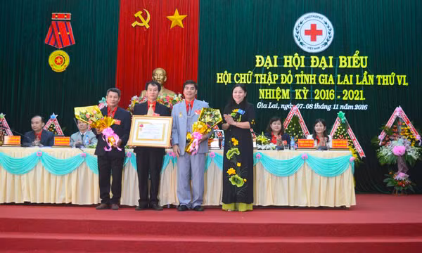 Đồng chí Huỳnh Nữ Thu Hà-Ủy viên Ban Thường vụ Tỉnh ủy, Phó Chủ tịch UBND tỉnh thừa ủy nhiệm của Chủ tịch nước trao Huân chương Lao động hạng nhì cho Hội CTĐ tỉnh. Ảnh: D.Đ.D