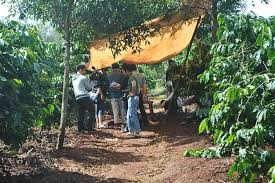 Ảnh minh họa. Ảnh minh hoạ.